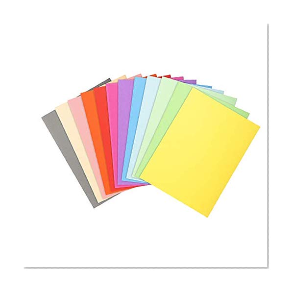 Exacompta - 410000E - Paquet de 100 Chemises Forever® 10  -  Assortis