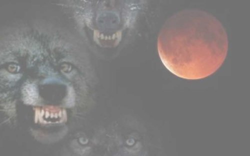 Bad Moon Rising