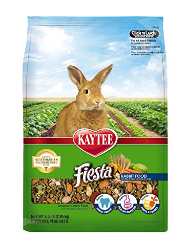Book Cover Kaytee Fiesta Rabbit Food, 6.5-lb bag