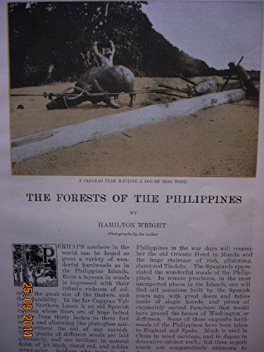 ARTICLE: the Forests of the Philippines