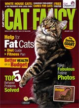 Cat Fancy Magazine January 2009 Maine Coon (Single Back Issue)