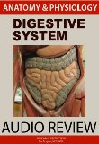 Digestive System (Anatomy and Physiology)