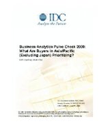 Business Analytics Pulse Check 2009: What Are Buyers in Asia/Pacific (Excluding Japan) Prioritizing?