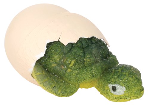 Toysmith Hatchin' Grow Turtle (Assorted Styles)