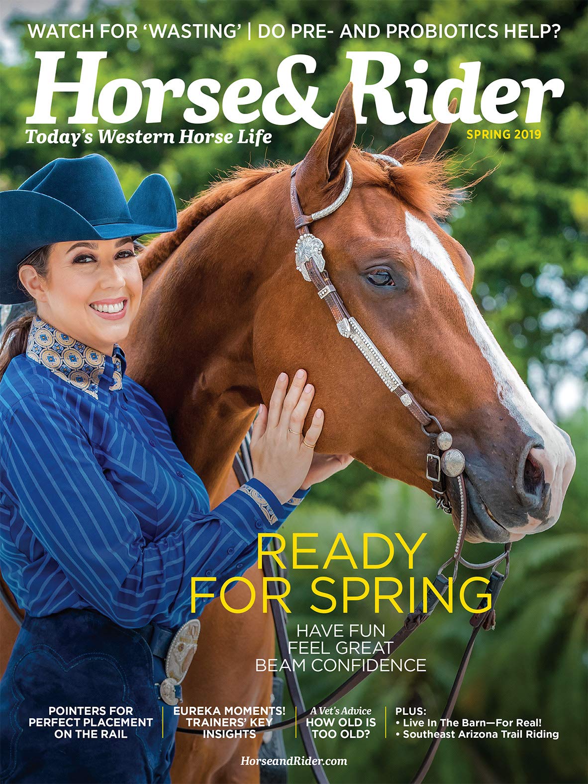 Book Cover Horse & Rider Print Magazine