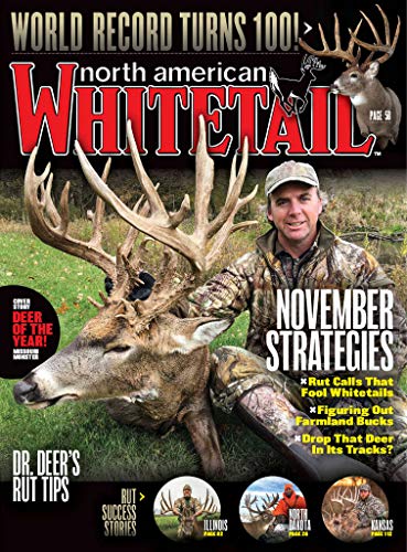 North American Whitetail
