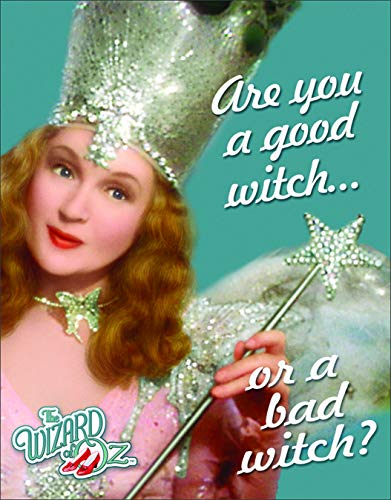 Book Cover Desperate Enterprises SIGWOG2 Wiz of Oz Glinda Good Witch Metal Tin Sign, Blue