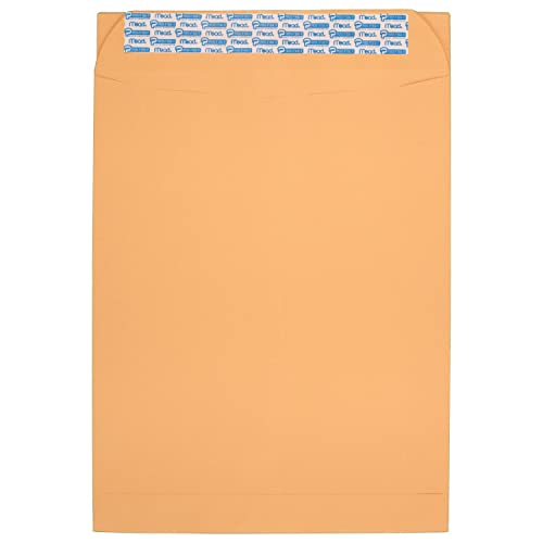 Mead Management Series 25.4cm x 33cm Press It-Seal It Brown Kraft Envelopes - 20 Count