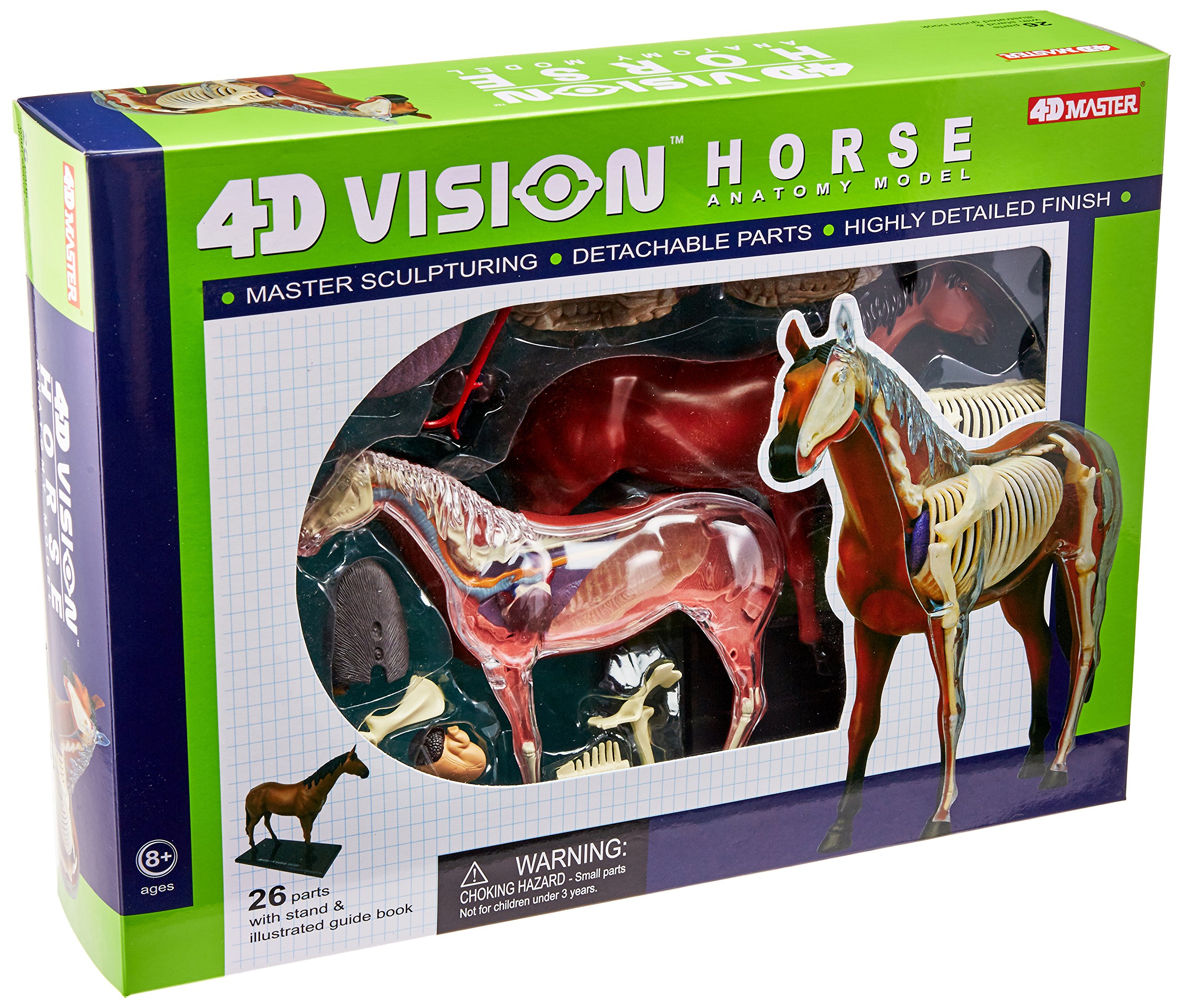 Book Cover Tedco 4D Vision Horse Model