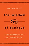 The Wisdom of Donkeys: Finding Tranquility in a Chaotic World