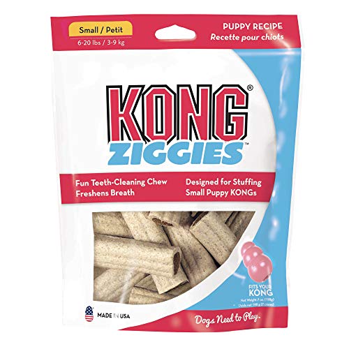 Book Cover KONG - Ziggies - Teeth Cleaning Dog Treats for KONG Classic Rubber Toys - Puppy Recipe for Small Puppies (7 Ounce)