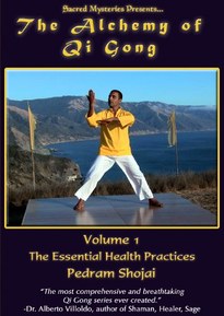 The Alchemy of Qi Gong Volume I: The Essential Health Practices