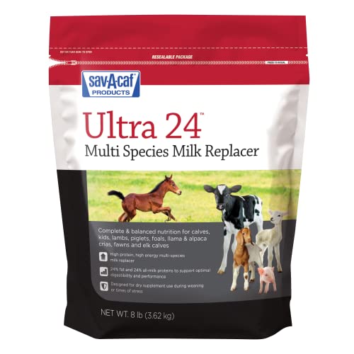 SavACaf Grade A Ultra 24 Multi-Species Milk Replacer, 8 Pound Bag