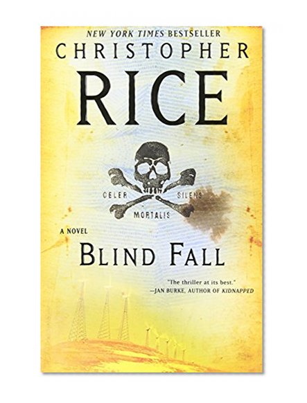 Blind Fall: A Novel