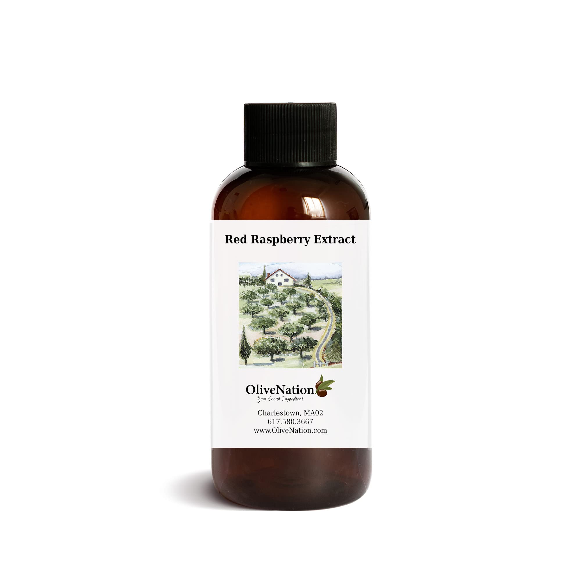 OliveNation Sugar-Free Red Raspberry Extract, Premium Quality Flavoring Extract for Baking - 4 ounces