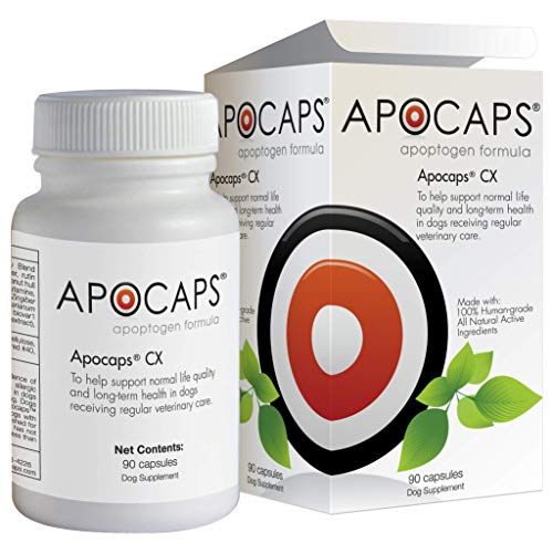Book Cover Apocaps CX Apoptogen Formula for Dogs , 90 Count (Pack of 1)