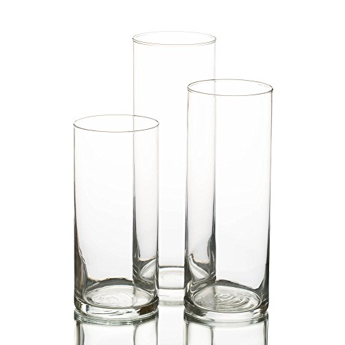 Eastland Cylinder Floating Candle Vase Set of 36