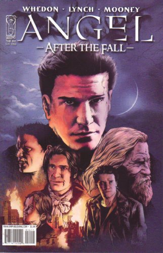 Angel After the Fall #14 Cvr B