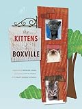 Kittens of Boxville