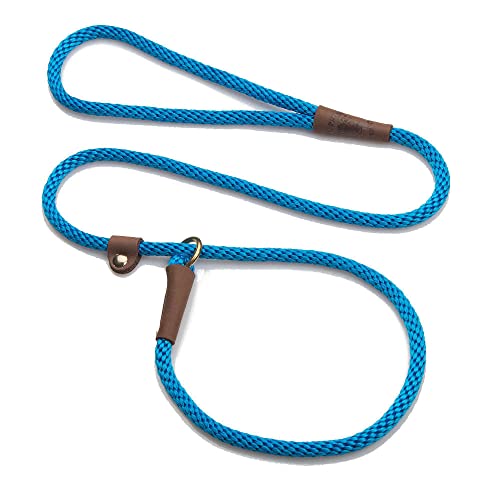 Book Cover Mendota Pet Slip Leash - Dog Lead and Collar Combo - Made in The USA - Blue, 3/8 in x 6 ft - for Small/Medium Breeds