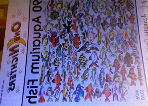 90 Aquarium Fish (One Nighters, 475)