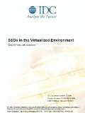 SSDs in the Virtualized Environment