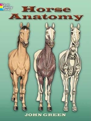 Horse Anatomy[COLOR BK-HORSE ANATOMY][Paperback]