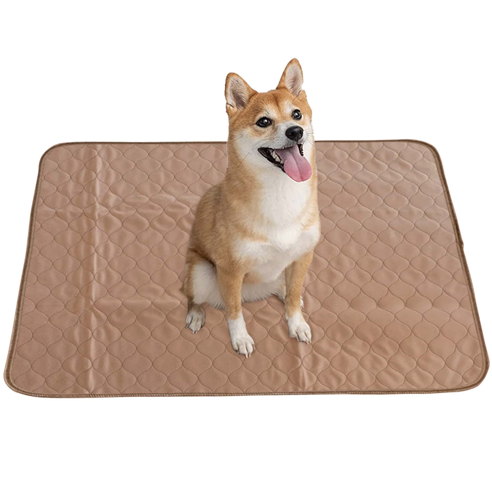 EZwhelp Reusable Dog Pee Pads - Waterproof Training Pads for Dogs - Washable & Sanitary - Rounded Corners - Laminated, Lightweight, and Durable - Perfect Pet Essentials for Puppy Training and Whelping - 34" x 36" 34x36 Inch