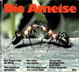 Die Ameise.