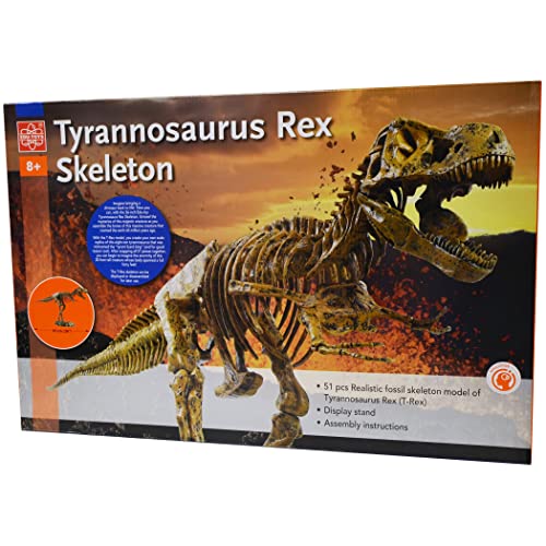 Edu-Toys Science Tech T-Rex Skeleton 36" Scale Replica Model