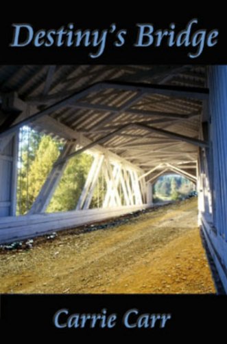 Destiny's Bridge: Book I in the Lex & Amanda Series