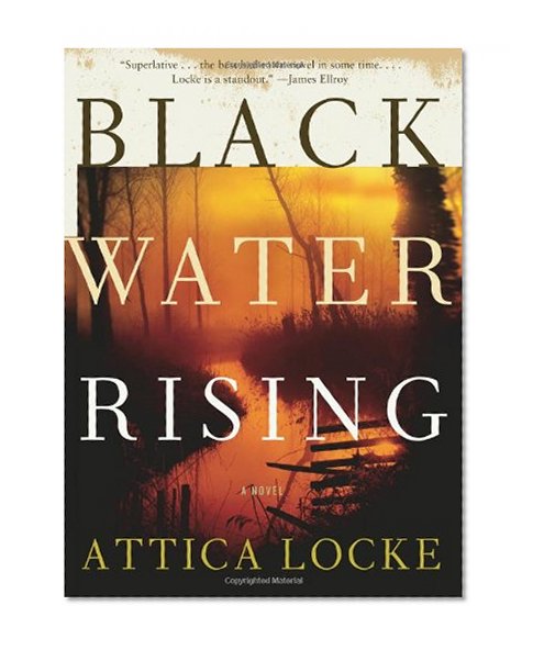 Black Water Rising: A Novel