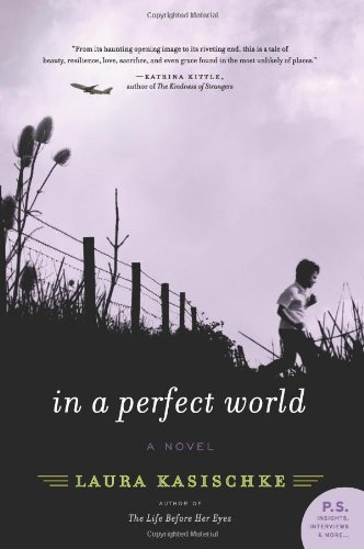 In a Perfect World: A Novel