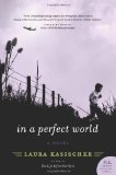 In a Perfect World: A Novel