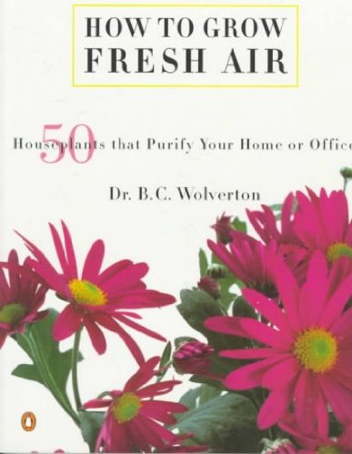 How To Grow Fresh Air - 50 Houseplants That Purify Your Home Or Office
