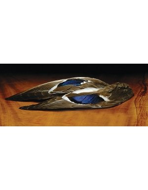 Mallard Whole Wing Pair