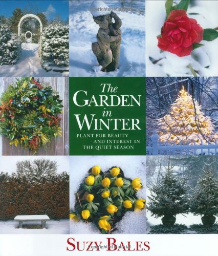 The Garden in Winter: Plant for Beauty and Interest in the Quiet Season