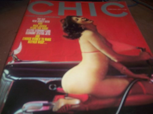 Chic Adult Magazine February 1977 Why Mick Jagger Fears the Night