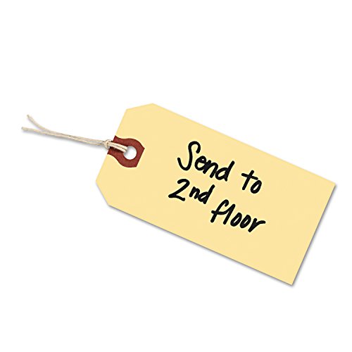 Avery 12505 Strung Shipping Tags, 13pt. Stock, 4 3/4 x 2 3/8, Manila (Box of 1000)