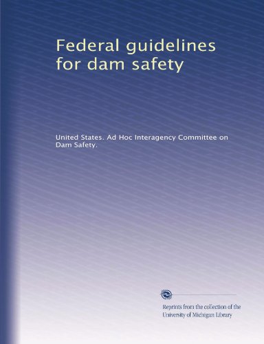 Federal guidelines for dam safety