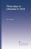 Thirty days in Lithuania in 1919
