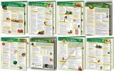 Vegan / Vegetarian, Raw & Living Food Reference Card Bundle: Eight 4 Page Bi-Fold Laminated Reference Cards - Learn Tips, Tricks & Recipes For Better Health (Permacharts: Raw Foods Vegetarianism)