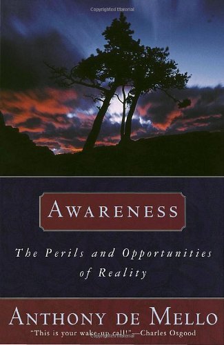 Awareness,Perils and Opportunities of Reality, 1990 publication