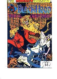 Black Hood #3 Impact Comics