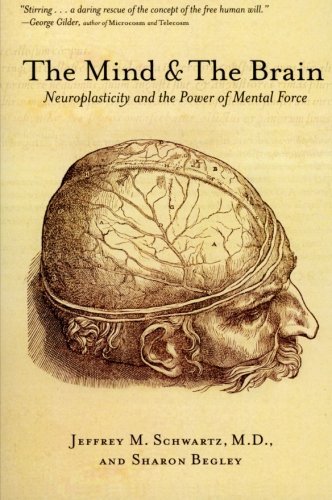 Mind and Brain- Neuroplasticity and the Power of Mental Force