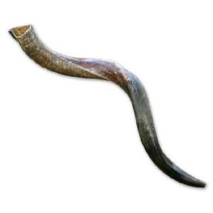 Shofar-Yemenite-Antelope Horn 30"-35"