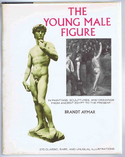 The Young Male Figure in Paintings, Sculptures and Drawings from Ancient Egypt to the Present