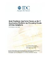 Best Practices: GasTerra Flexes up Its IT Application Portfolio by Choosing Oracle Utilities Solutions