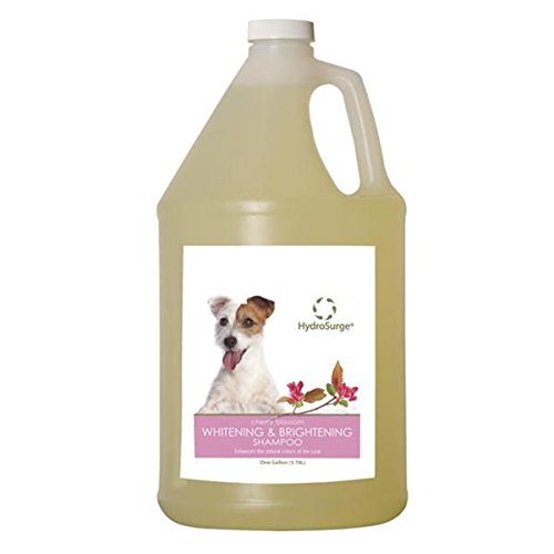 Hydrosurge Whitening & Brightening Shampoo Gal