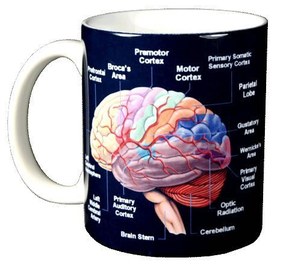 WILD COTTON Brain 11 Ounce Ceramic Coffee Mug
